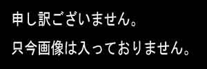 画像1: スーパーアシレックス　スカイ【中目】（バラ5枚）アシレパッドMネオ ソフト（バラ1枚）のセット