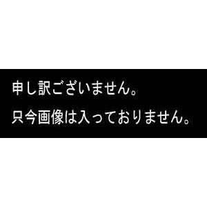 画像: シリコンチューブホース　たけのこ型接続金具用パッキン